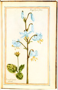 Illustrations de Le Jardin du très chrestien Henry IV.f19