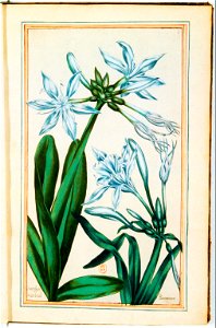Illustrations de Le Jardin du très chrestien Henry IV.f08