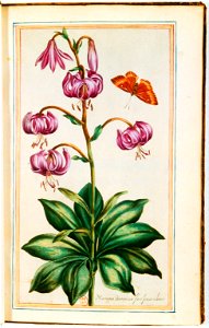Illustrations de Le Jardin du très chrestien Henry IV.f23