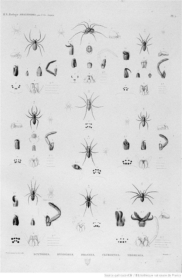 Illustrations de Description de l'Egypte Pl42