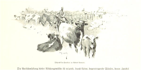 Image taken from page 209 of 'Pilgerritt. Bilder aus Palästina und Syrien ... Mit Illustrationen von R. Mainella' (11230749354)