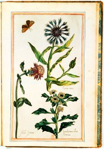 Illustrations de Le Jardin du très chrestien Henry IV.f64