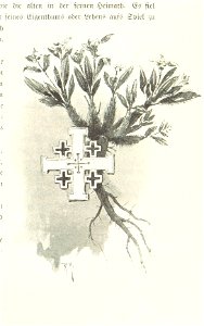 Image taken from page 195 of 'Pilgerritt. Bilder aus Palästina und Syrien ... Mit Illustrationen von R. Mainella' (11303398496)