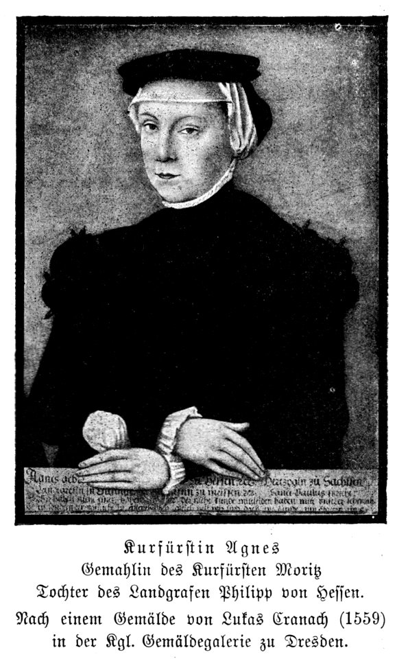 Illustrierte Geschichte d. sächs. Lande Bd. II Abt. 1 - 029 - Kurfürstin Agnes