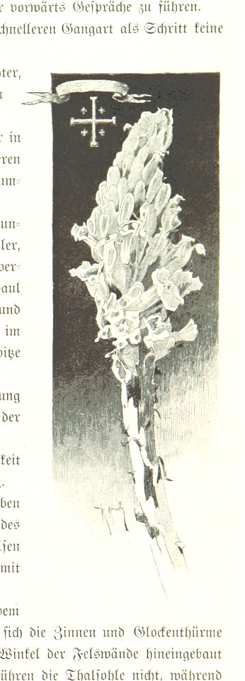 Image taken from page 181 of 'Pilgerritt. Bilder aus Palästina und Syrien ... Mit Illustrationen von R. Mainella' (11303185436)