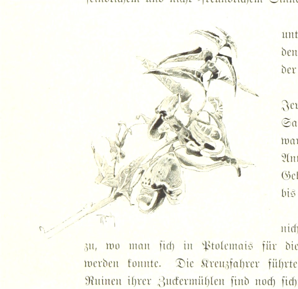 Image taken from page 190 of 'Pilgerritt. Bilder aus Palästina und Syrien ... Mit Illustrationen von R. Mainella' (11133543636)