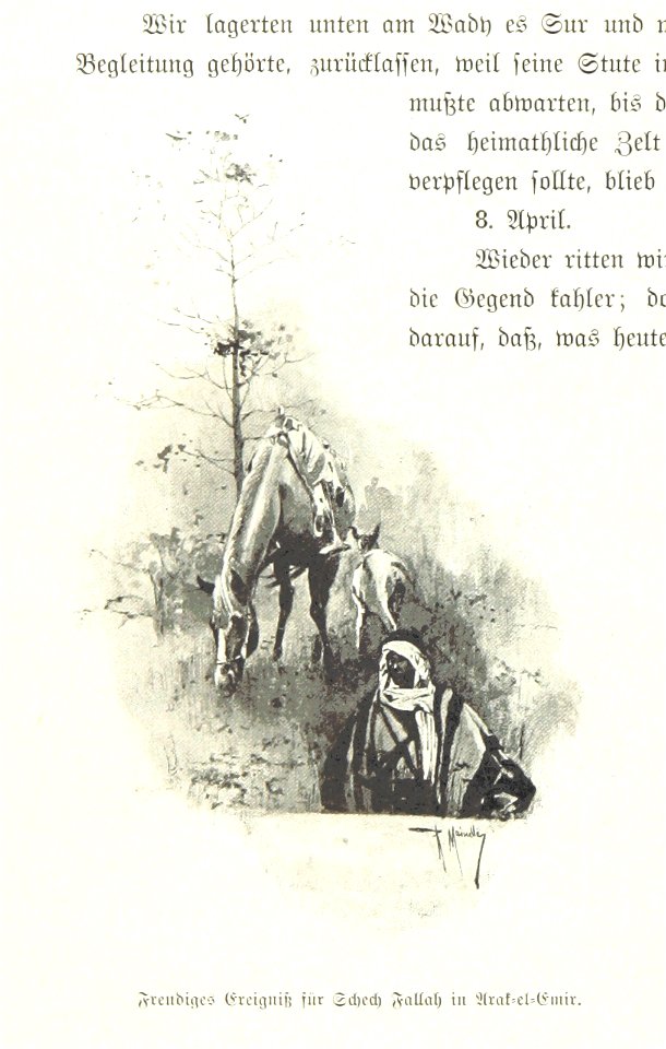 Image taken from page 216 of 'Pilgerritt. Bilder aus Palästina und Syrien ... Mit Illustrationen von R. Mainella' (11302614416)