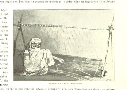 Image taken from page 268 of 'Pilgerritt. Bilder aus Palästina und Syrien ... Mit Illustrationen von R. Mainella' (11230450175)