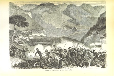 Image taken from page 211 of 'Album della guerra del 1866' (11088874556)
