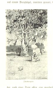 Image taken from page 274 of 'Pilgerritt. Bilder aus Palästina und Syrien ... Mit Illustrationen von R. Mainella' (11302515434)