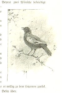 Image taken from page 303 of 'Pilgerritt. Bilder aus Palästina und Syrien ... Mit Illustrationen von R. Mainella' (11133330123)