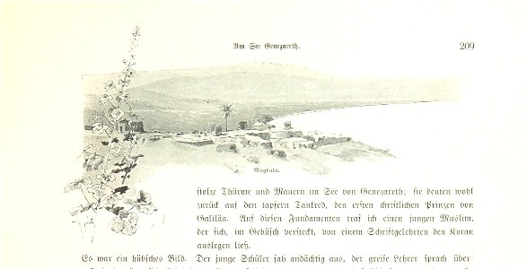 Image taken from page 257 of 'Pilgerritt. Bilder aus Palästina und Syrien ... Mit Illustrationen von R. Mainella' (11232352033)
