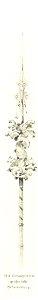 Image taken from page 205 of 'Pilgerritt. Bilder aus Palästina und Syrien ... Mit Illustrationen von R. Mainella' (11135074384)