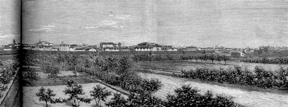 Imola - Panorama (xilografia).b