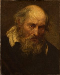 Imitator of Anthony van Dyck - Head of an Old Man, Cat. 669