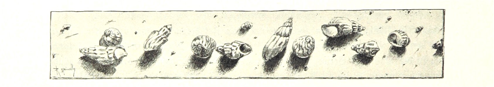 Image taken from page 336 of 'Pilgerritt. Bilder aus Palästina und Syrien ... Mit Illustrationen von R. Mainella' (11135982383)