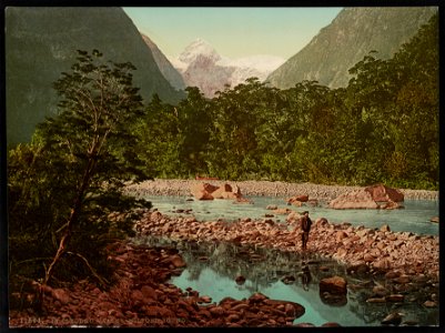 In Cleddau Valley. Milford Sound LCCN2017658067