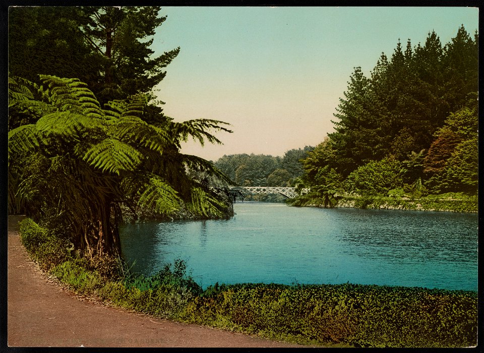In New Plymouth Gardens LCCN2017657806