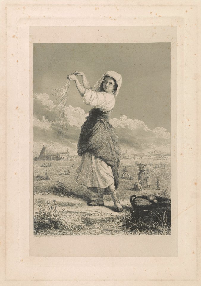 In the fields LCCN2003656040