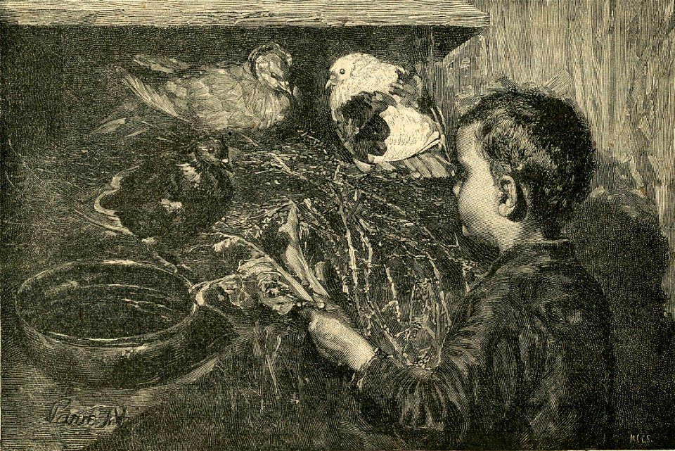 In piccionaia, - quadro di Giuseppe Pennasilico