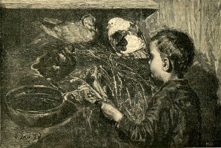 In piccionaia, - quadro di Giuseppe Pennasilico