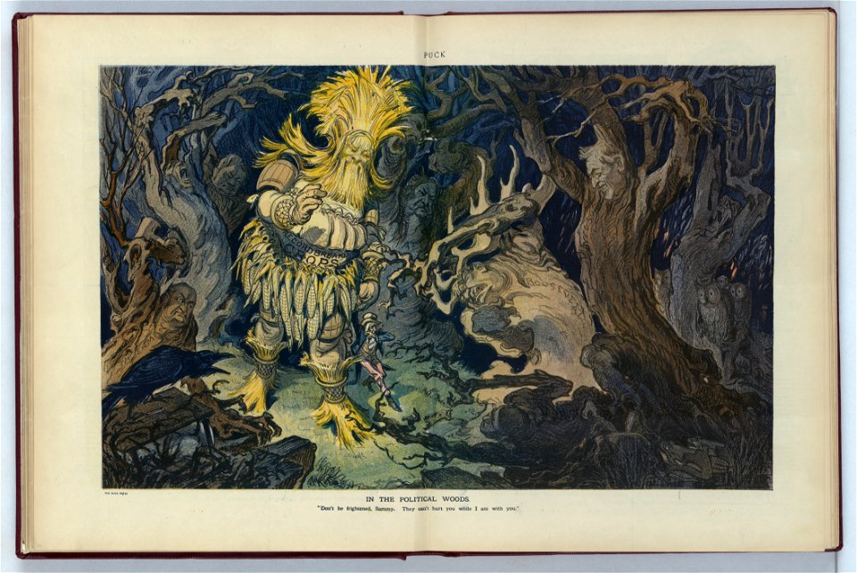 In the political woods - Kep. LCCN2011649392