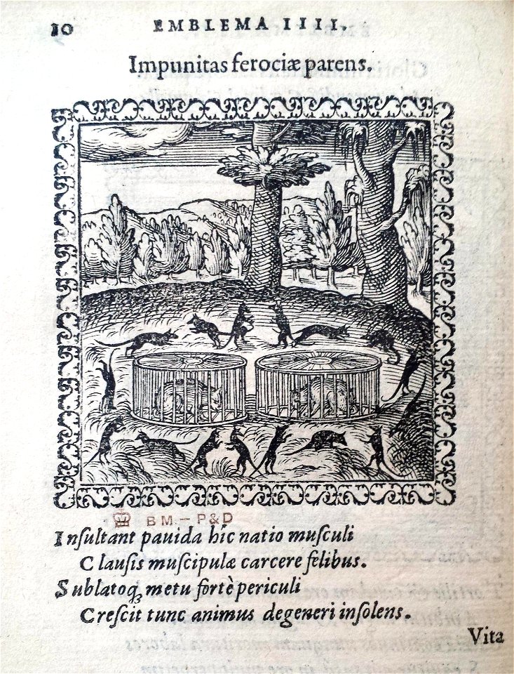 Impunitas ferociae parens (BM 1972,U.11.4)