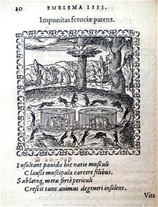 Impunitas ferociae parens (BM 1972,U.11.4)