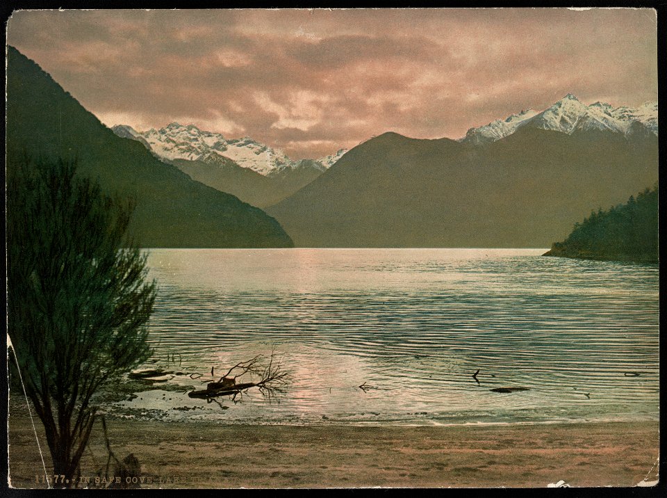 In Safe Cove. Lake Te Anau LCCN2017658080