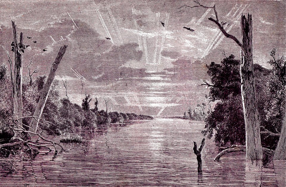 In de binnenlanden van Borneo