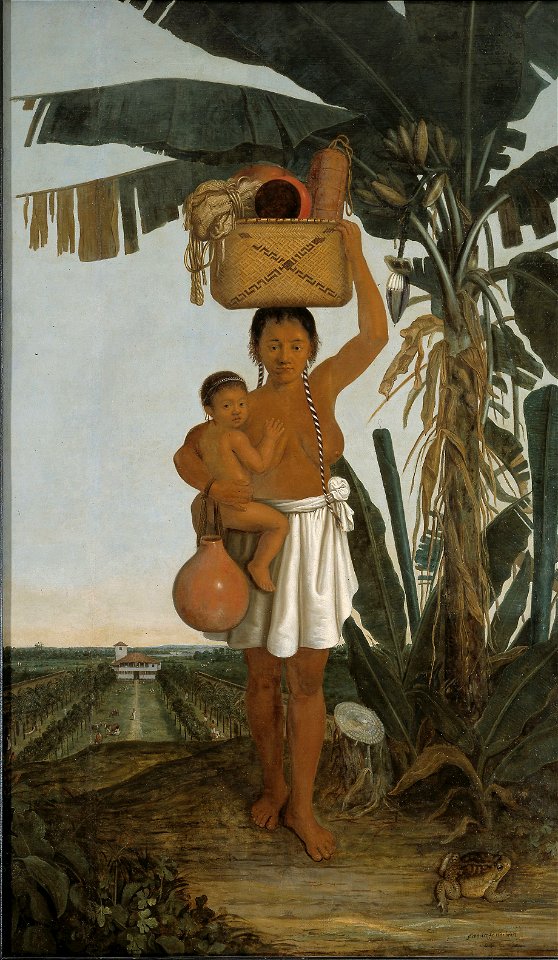 India tupi