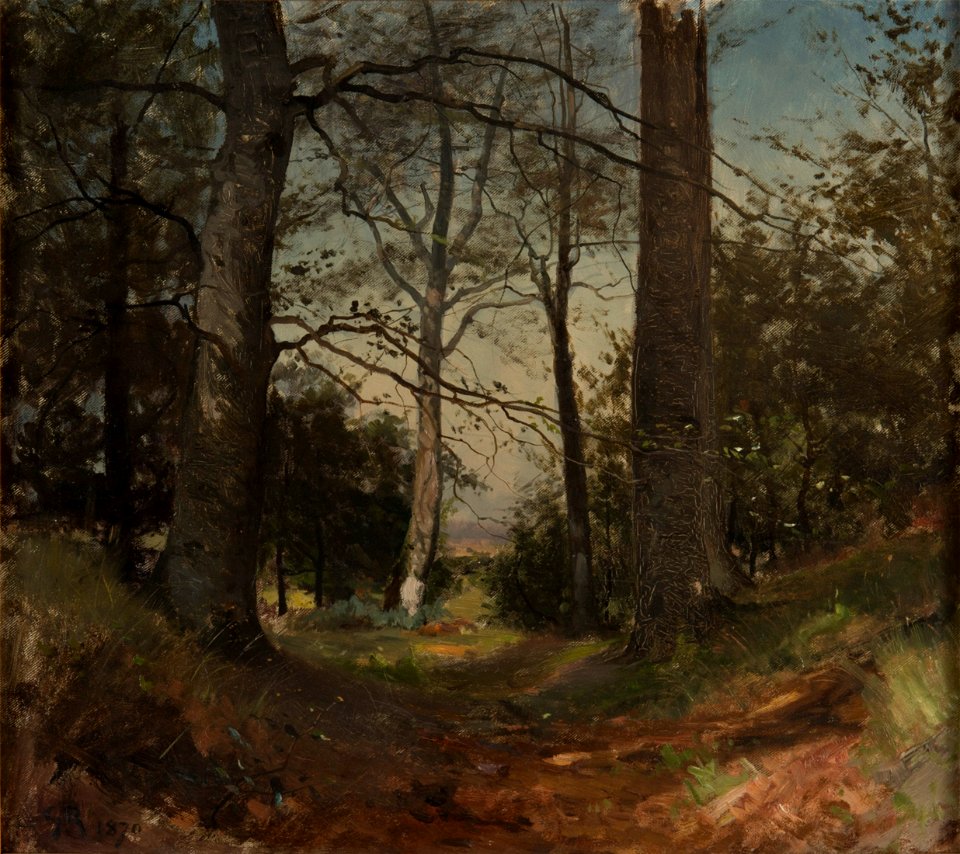 In the Forest. Motif from Stehag, Skåne. Study (Gustaf Rydberg) - Nationalmuseum - 20750