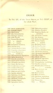 Index - Curtis' 125 (Ser. 3 no. 55) (1899)