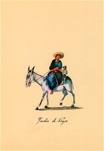 India de Viaje