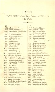 Index - Curtis' 101 (Ser. 3 no. 31) (1875). Free illustration for personal and commercial use.