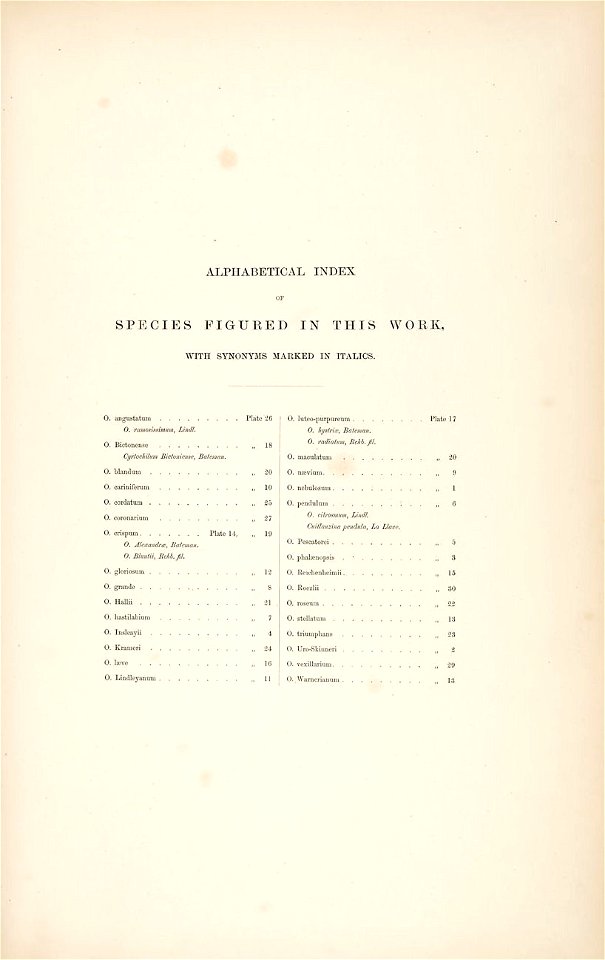 Index-Bateman - A Monograph of Odontoglossum