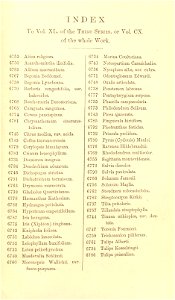 Index - Curtis' 110 (Ser. 3 no. 40) (1884)