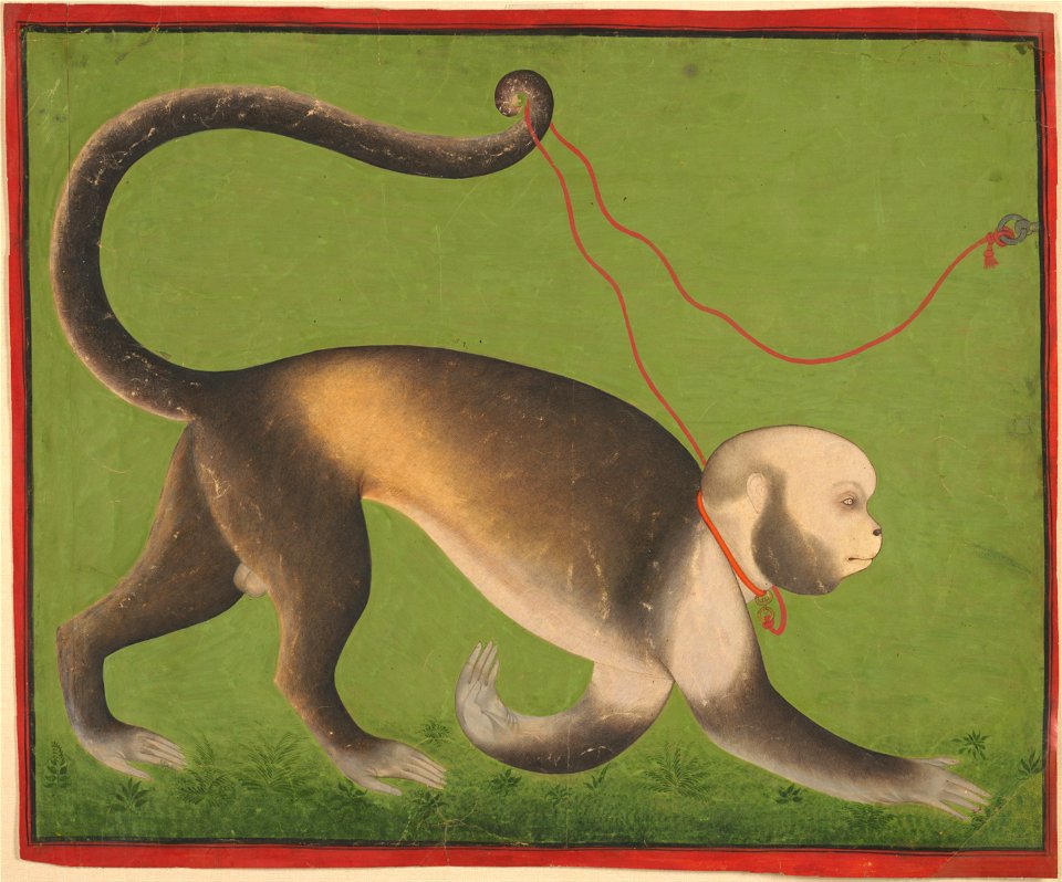 India; Rajasthan, Mewar, Udaipur; Attributed to the Stipple Master - A Monumental Portrait of a Monkey - Google Art Project