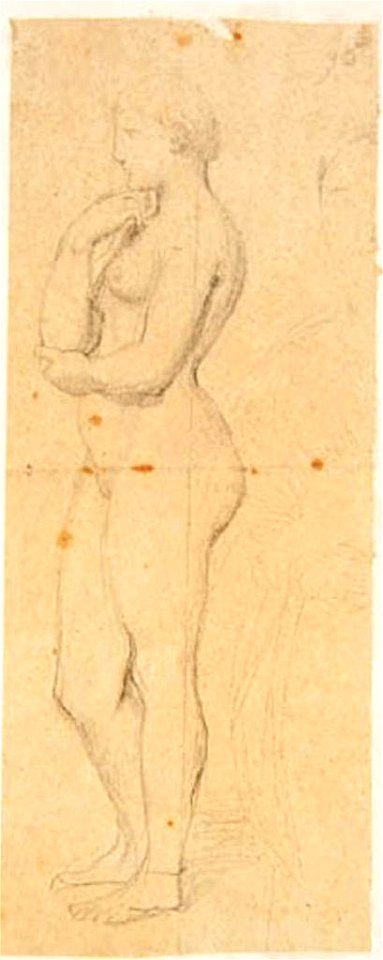 Ingres - MI.867.1546, Femme