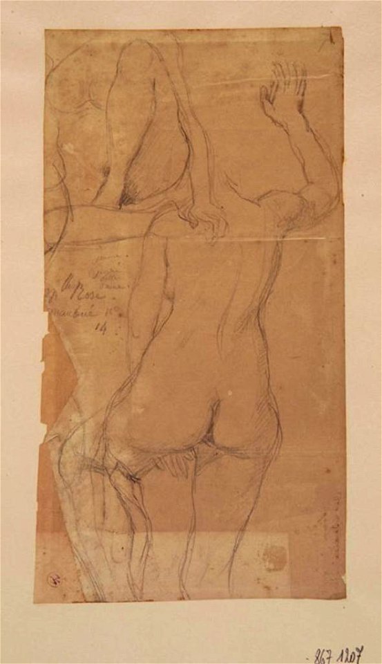 Ingres - MI.867.1207, Femme nue de dos
