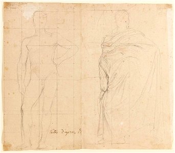 Ingres - MI.867.1991, Homme drapé