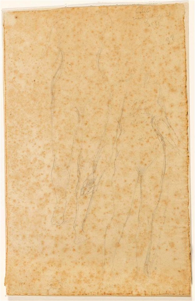 Ingres - MI.867.2169, Femme nue de face