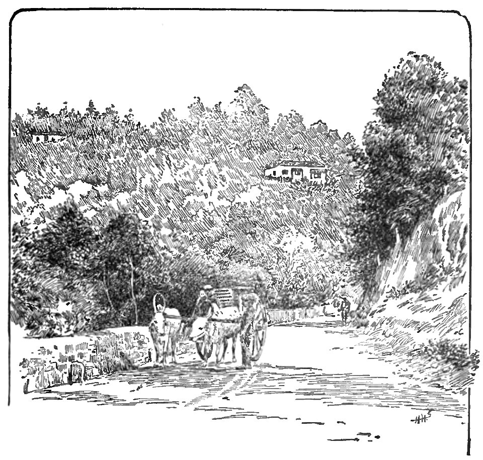 Indian scene - Page 209 - History of India Vol 1 (1906)