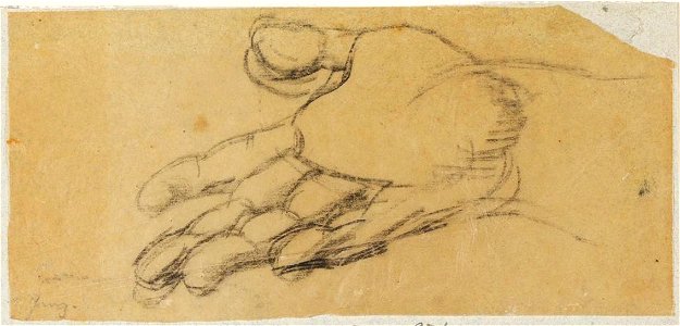 Ingres - MI.867.1825, Main droite ouverte