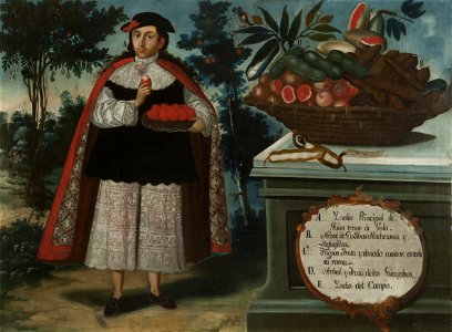 Indio Principal de Quito con traje de gala