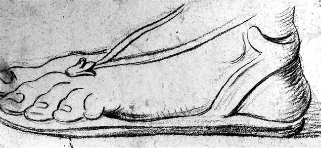 Ingres - MI.867.3606, Pied chaussé d'une sandale