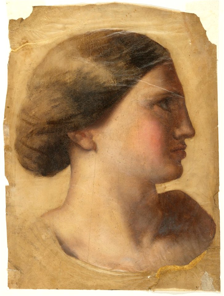 Ingres - Head of a Young Woman, 1956.3