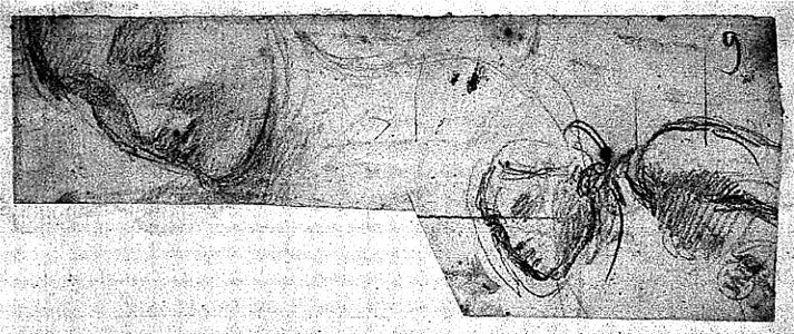 Ingres - MI.867.1210, Tête de femme