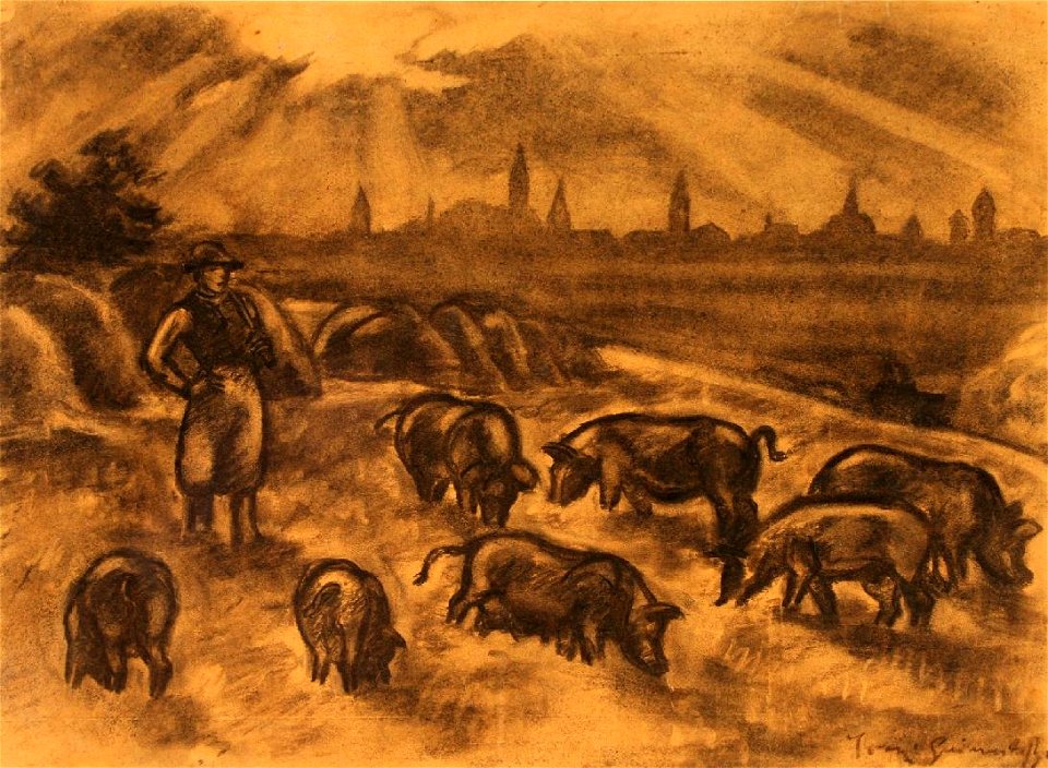 Iványi Herd of Pigs