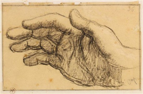 Ingres - MI.867.1843, Main droite ouverte